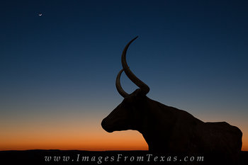 Longhorn Silhouette at Moonset