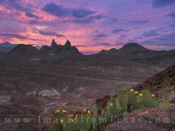 May Morning with the Mule Ears 1