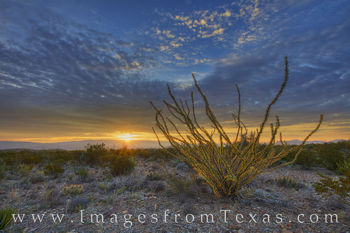 November Sunrise at Big Bend 3