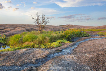 Oasis at Enchnated Rock 1