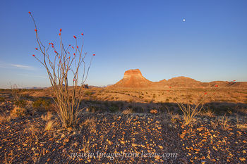 Octollio Moonrise in Big Bend 1