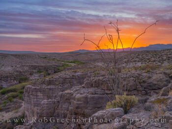 Ocotillo Sunset from the Hot Springs Trail 313-1