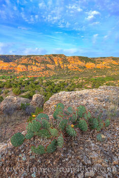 Palo Duro from the Rock Garden Trail 502-2