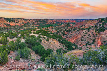 Palo Duro from the Rock Garden Trip 502-1