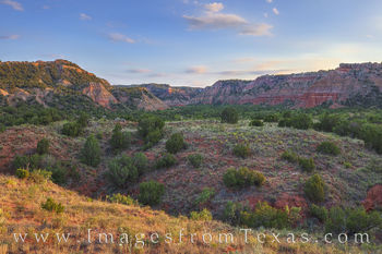 Palo Duro in Evening Light 724-1