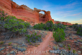 Rattlesnake Arch Summer Morning 1