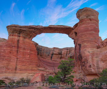Rattlesnake Arch Summer Morning 2