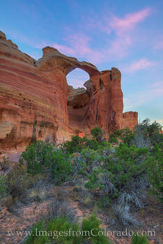 Rattlesnake Canyon Arches Morning 1