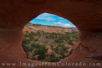 Rattlesnake Canyon through Cedar Arch 1