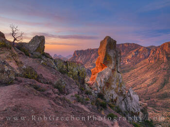 Soft Light of a Big Bend Morning 313-1