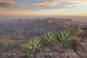 South Rim before Sunset, Big Bend 2