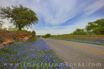Spring Drive in the Hill Country 407-1