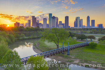 Spring Morning near Downtown Houston 329-12