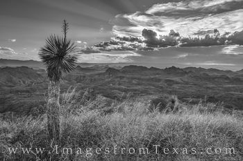 Sunrays over Oso Peak - BBRSP Black and White 1