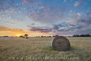 Sunset over Texas Hay Bales 5