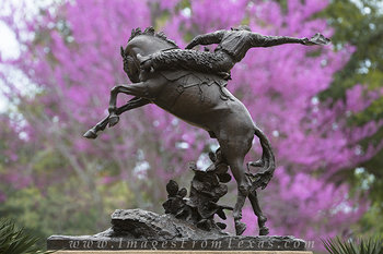 Texas Cowboy in Spring