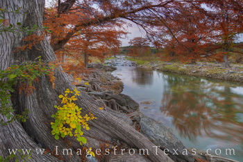 Texas Hill Country Fall Colors 1117-1