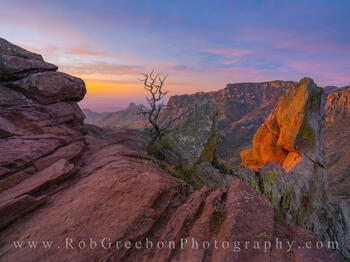 The Morning Glow 1