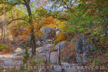 Trail through Lost Maples in Autumn 1