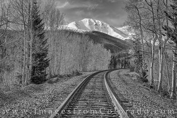 Train Tracks in Spring Black and White 525-1