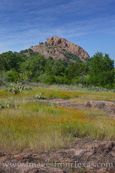 Turkey Peak Wildflowers 428-1