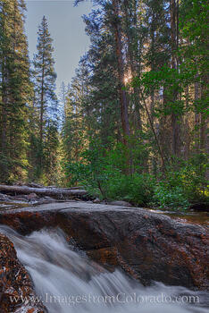 Upper Piney Trail Waterfall 1