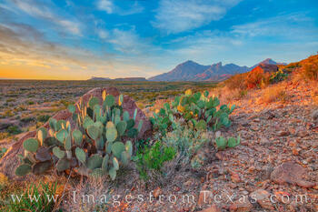 View from Lone Mountain 118-2
