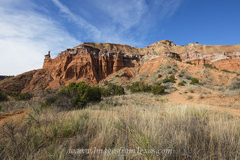 View from the Lighthouse Trail