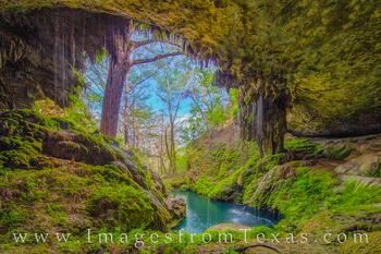 Westcave Preserve Waterfall 1