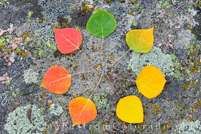 Colors of Autumn 2