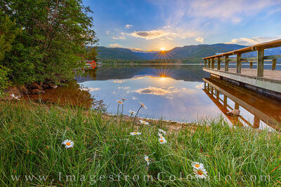 Daisy Sunrise - Grand Lake, Colorado 626-1