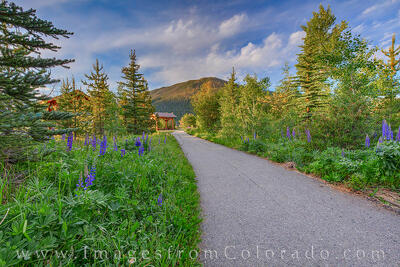 Walking Trail in Grand Lake 1
