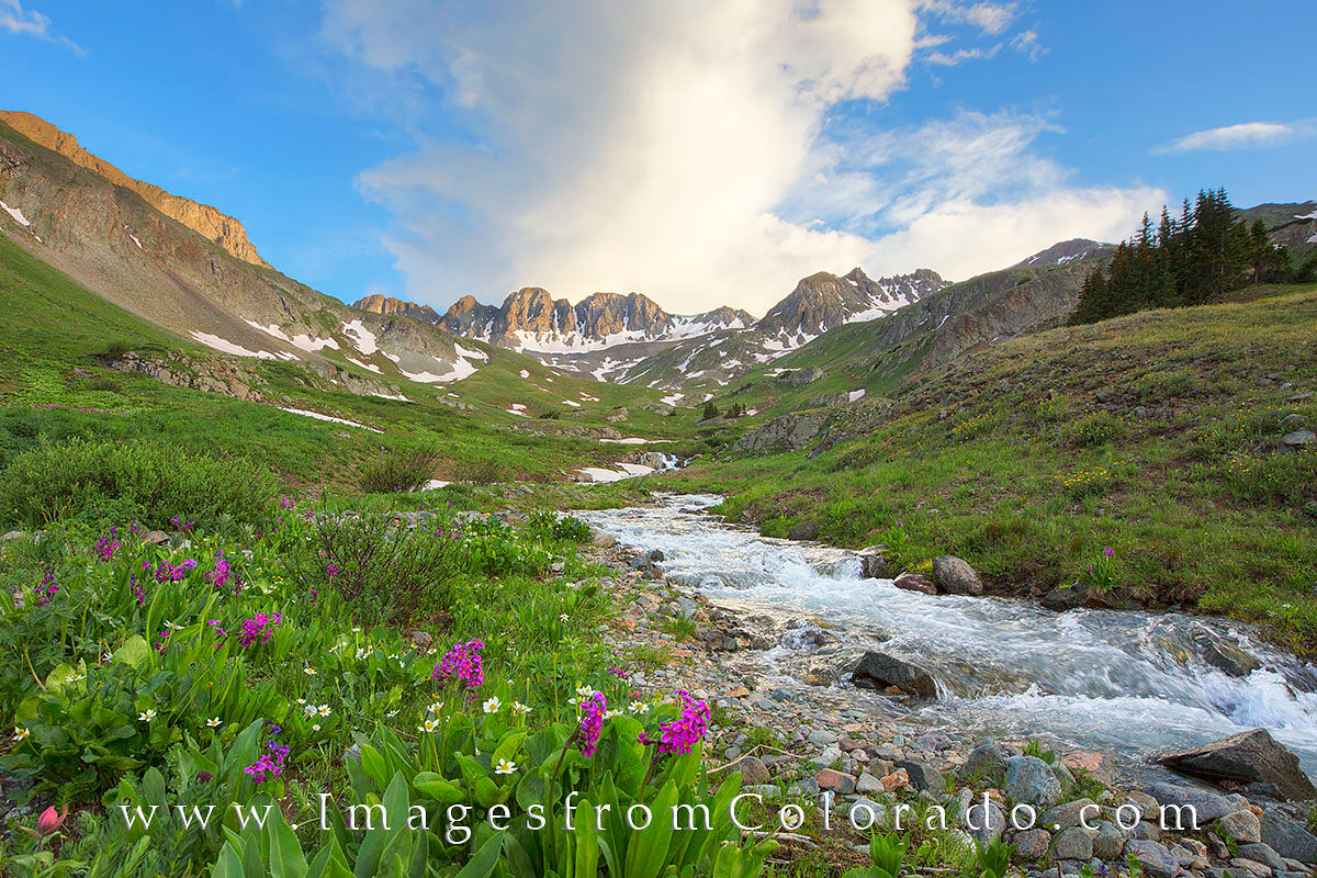 American Basin Wildflowers near Lake City 1 American Basin near Lake City is famous for its summer wildflowers. However, the road to this point is famous, too - for being...