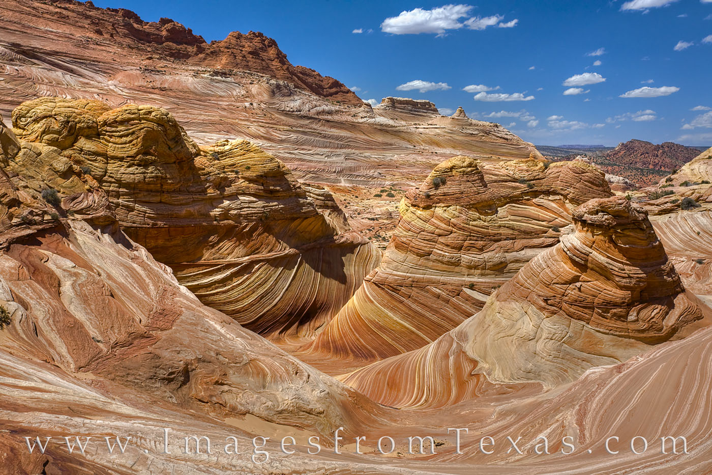Arizona - The Wave, North Coyote Buttes 1 The Wave, an sandstone rock formation found in North Coyote Buttes in northern Arizona, is an amazing sight - if - you can obtain...