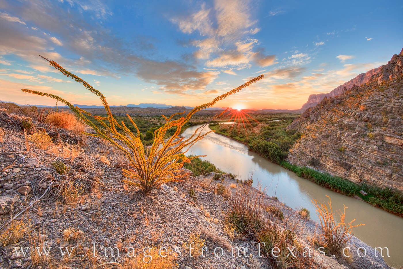 Autumn Sunrise at Santa Elena Canyon 3 An Ocotillo shows off its Autumn colors of gold and green as sunrise comes to Santa Elena Canyon in Big Bend National Park. Far...