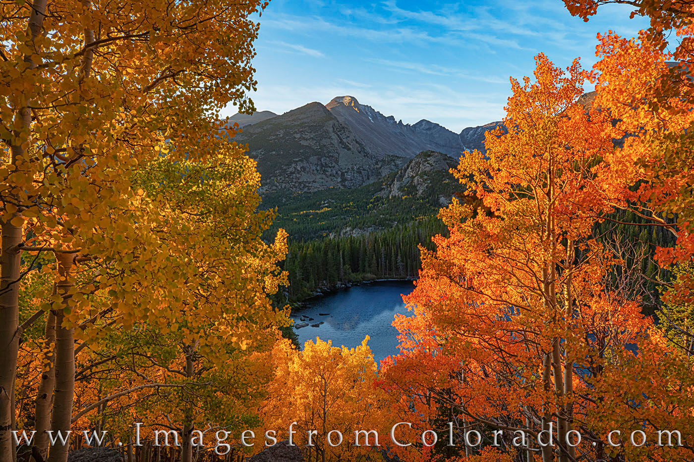 Bear Lake Autumn Sunrise, RMNP 101-2 At the moment the first sunlight reaches the orange and gold aspen leaves above Bear Lake, the morning is suddenly ablaze in...