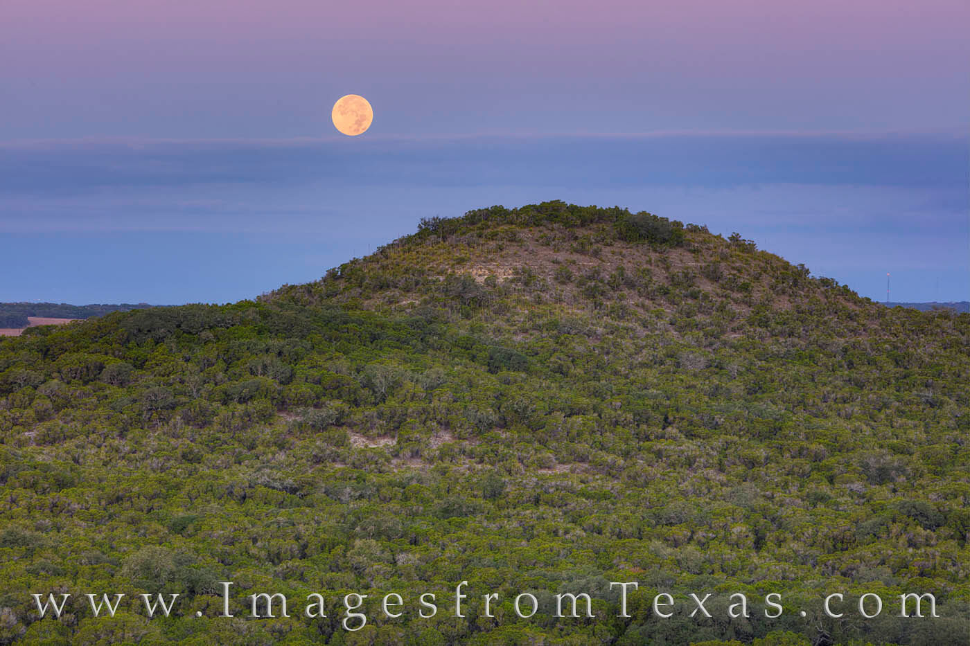 Beaver Moon from Old Baldy 1119-1 The full moon in November is known as the Beaver Moon. The name comes from the Native Americans who recognized this is the time...