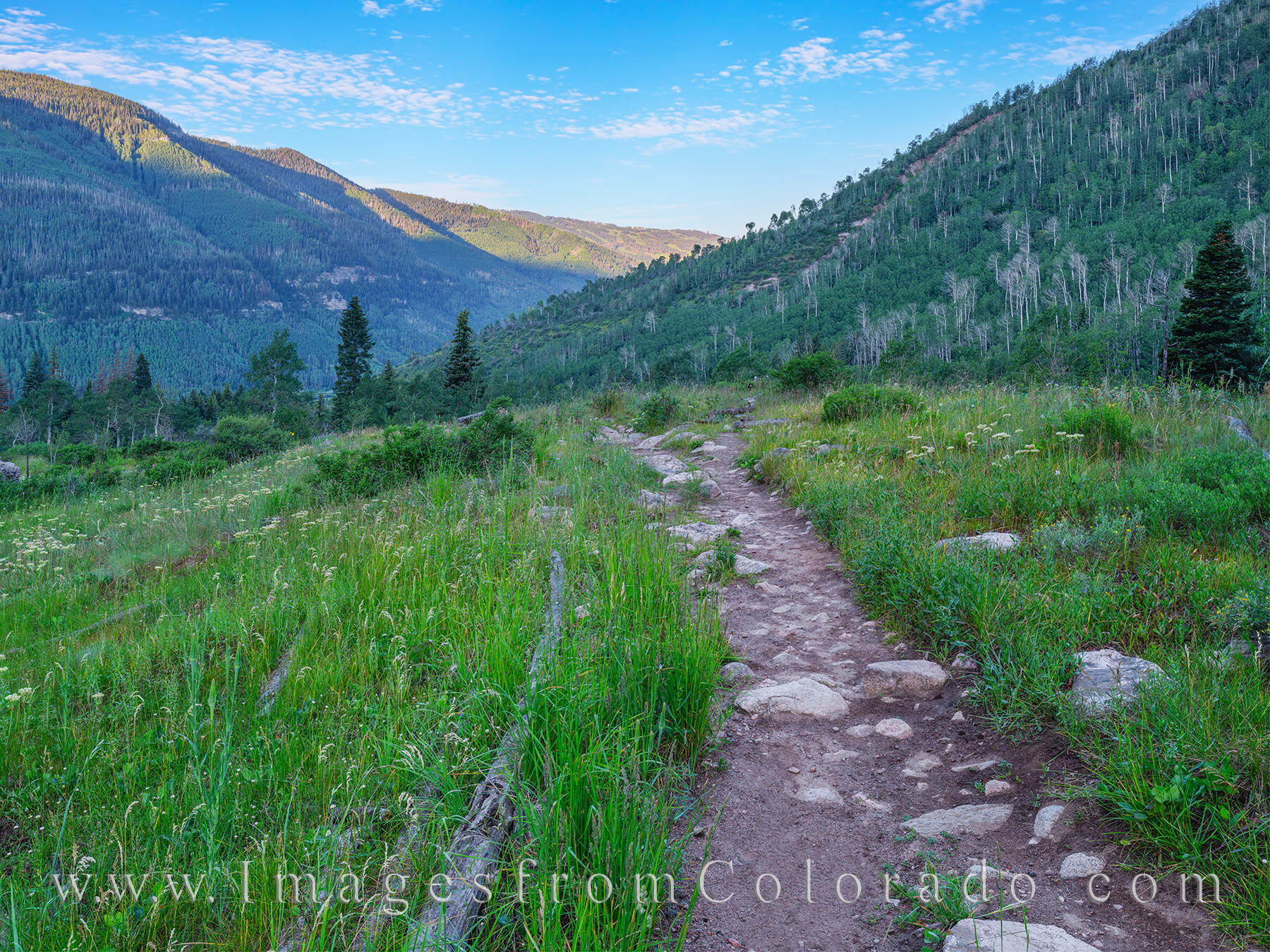 Booth Creek near Vail, Colorado 2 From a clearing along the Booth Lake Trail, this view looks back toward the Vail ski area on a nearly clear summer morning. This...