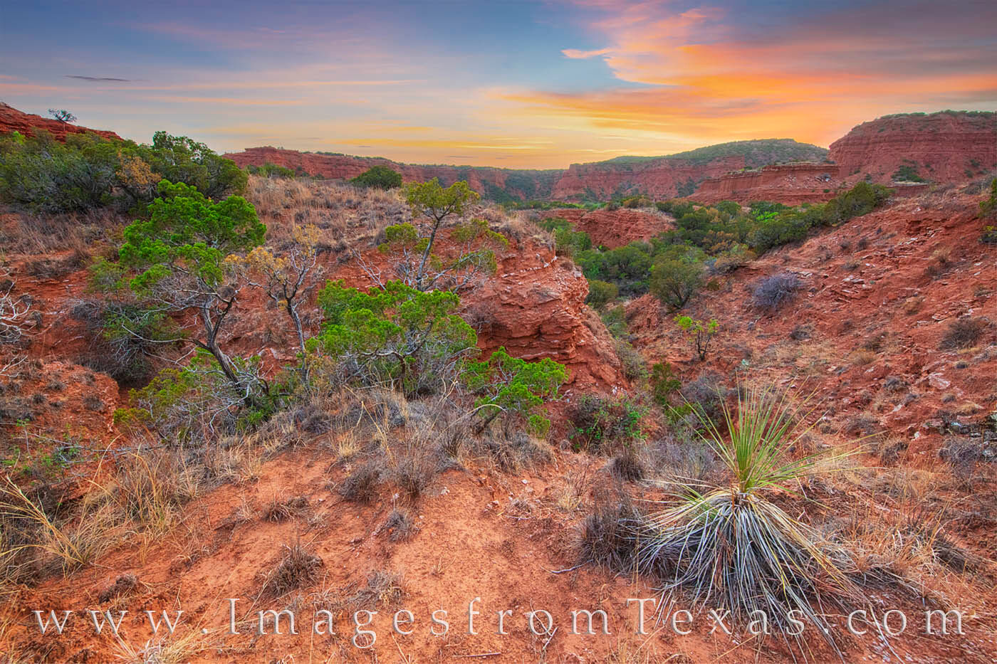 Caprock Canyons Sunset 502-1 From somewhere in the bush in Caprock Canyons State Park, a colorful sunset graces the skies on a warm May evening. The land...