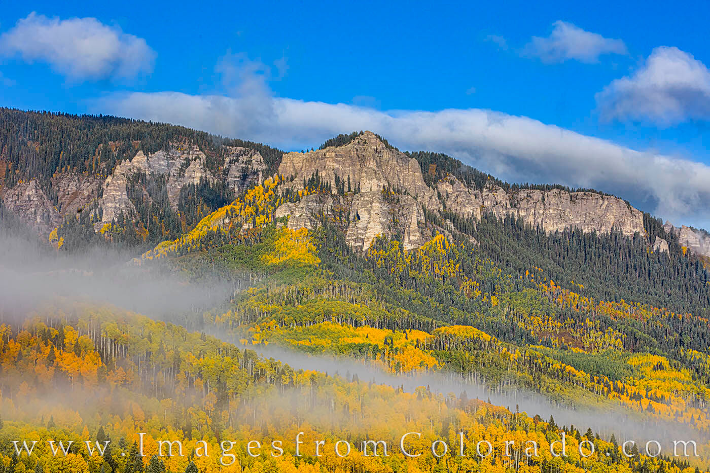 Cimarron Autumn 102-1 On a cold October morning, fog was draped in layers across the golden aspen in the Cimarron Valley not far from Silver Jack Reservoir...