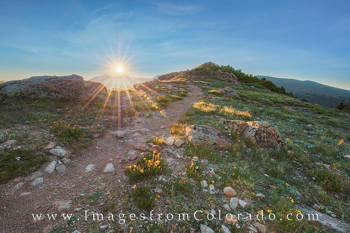 Continental Divide Trail Morning 1 Taken just after sunrise along the Continental Divide Trail, this photograph shows rocky path as it winds its way east, eventually...