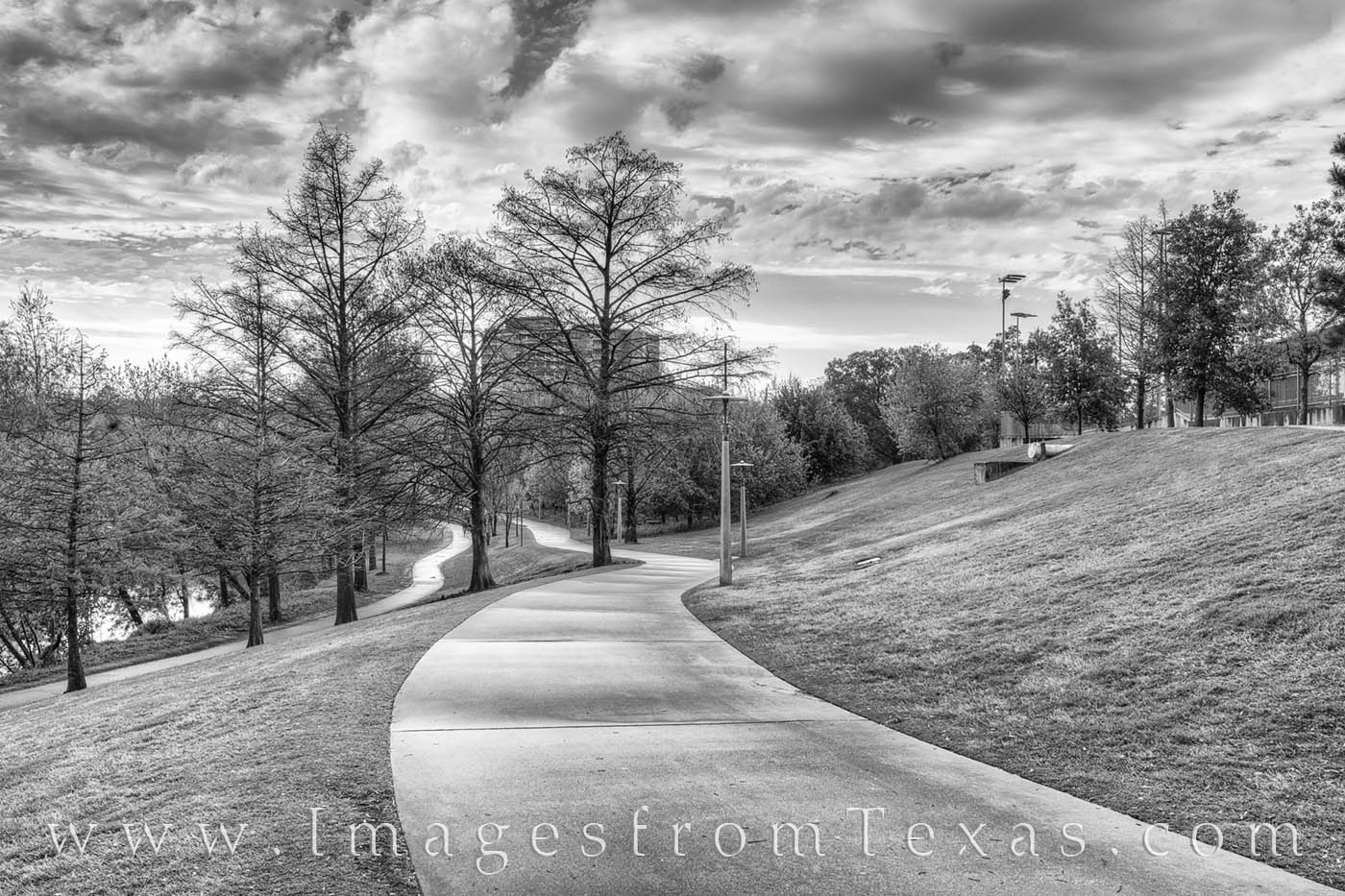 Eleanor Tinsley Park Spring Black and White 328-1