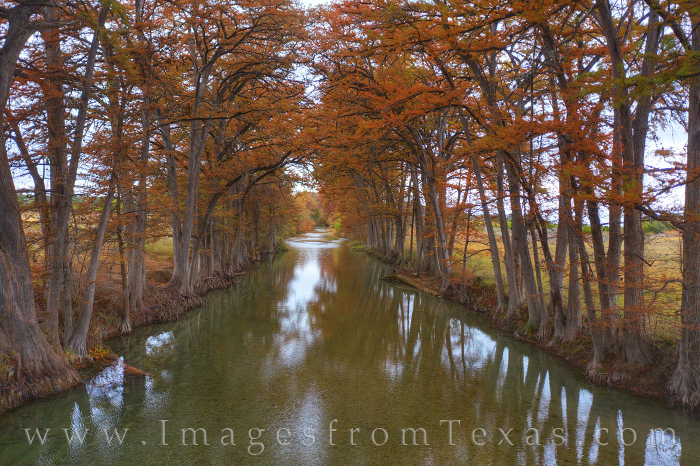Fall Colors along the Medina River 14-1