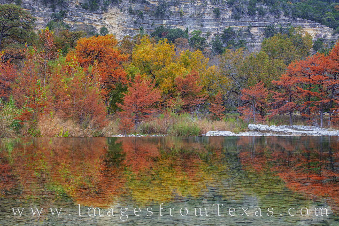 Frio River Autumn Reflection 1112-1