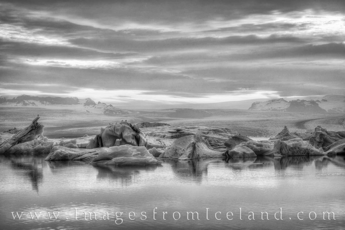 Glacier Bay at Midnight Black and White Taken at around midnight, this photograph shows Jökulsárlón Lagoon in black and white. Gulls rest on the floating blocks of...