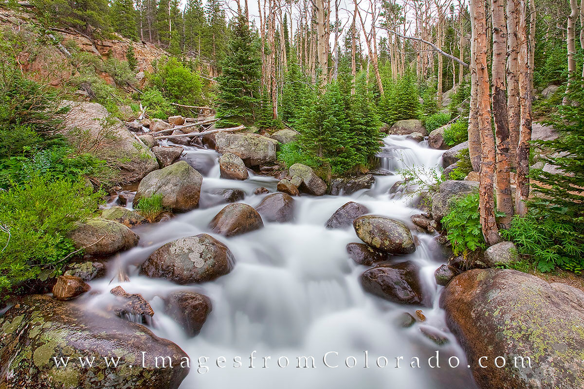 Glacier Creek, Rocky Mountain National Park 1 On the Estes Park side of Rocky Mountain National Park near Bear Lake, Glacier Creek flows fast as spring melt fills this little...