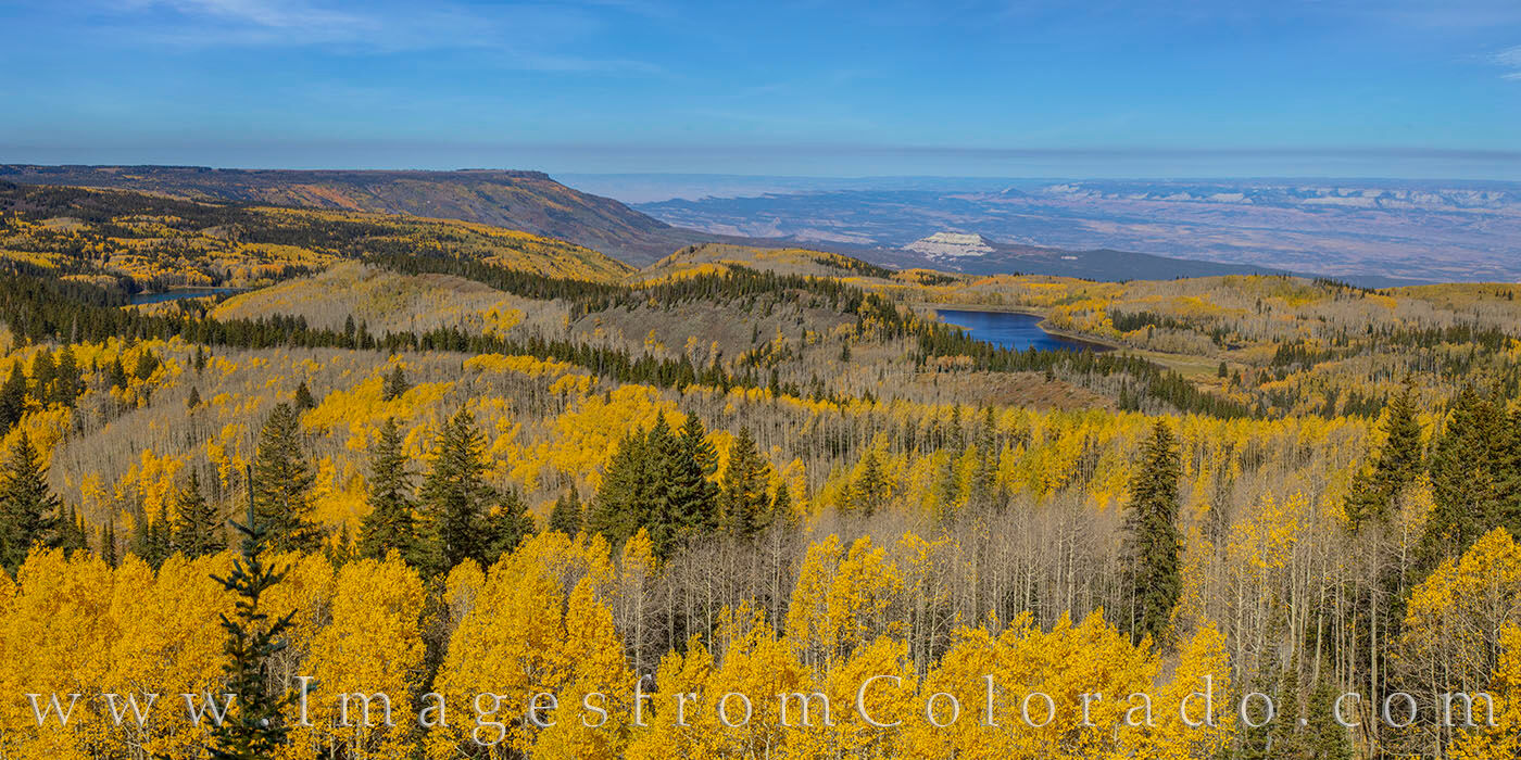 Grand Mesa Gold Panorama 1 From along the Grand Mesa Scenic Byway, this panorama shows the beautiful fall colors from high up on the mesa. South Mesa Lake...