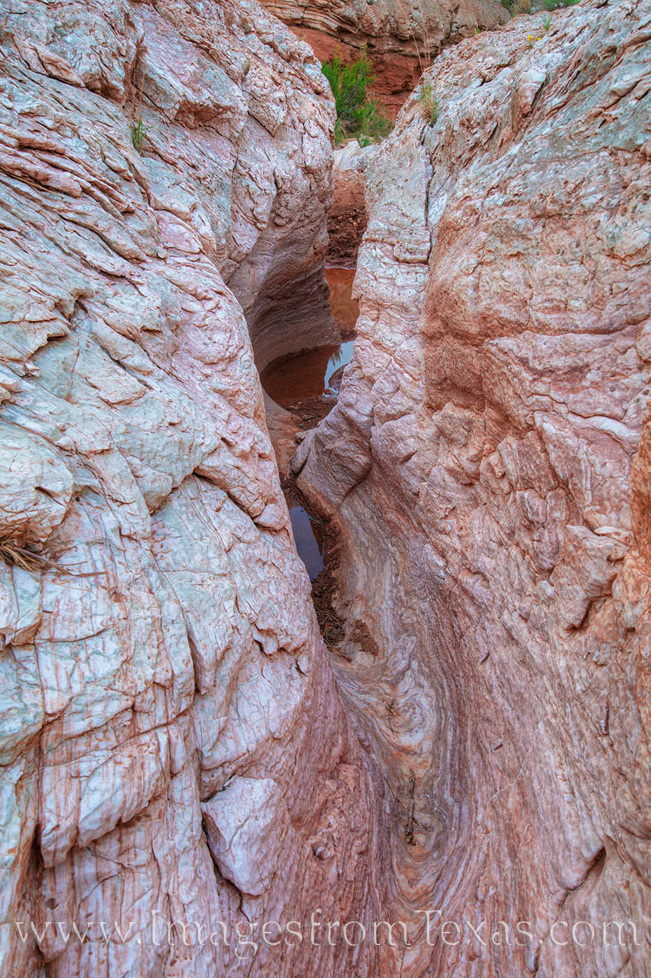 Gypsum Slot 1 - Caprock Canyons Hidden not far off the trail in Caprock Canyons is this small gypsum slot canyon. The lines and curves in conjuction with the...