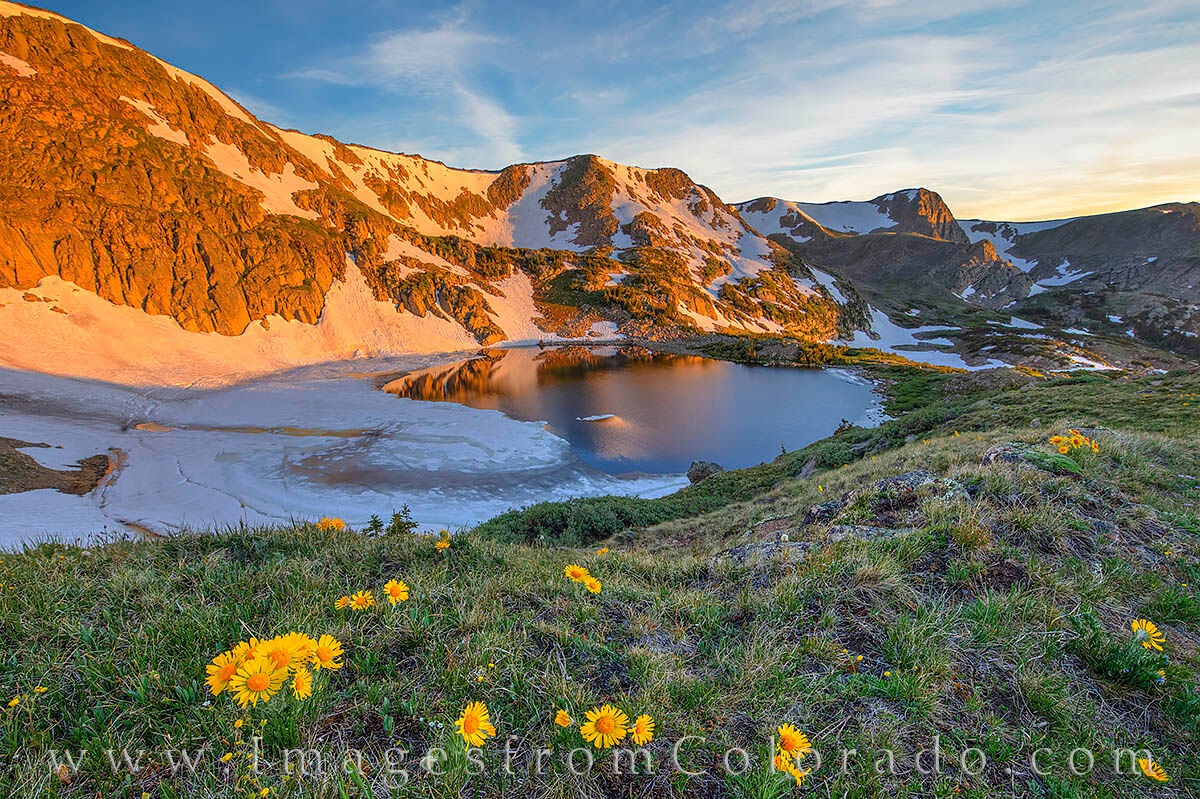 King Lake Summer Sunrise 703-3 Morning light shines on the sides of a high rock face on the west side of King Lake high up on Rollins Pass. Sunflowers, commonly...