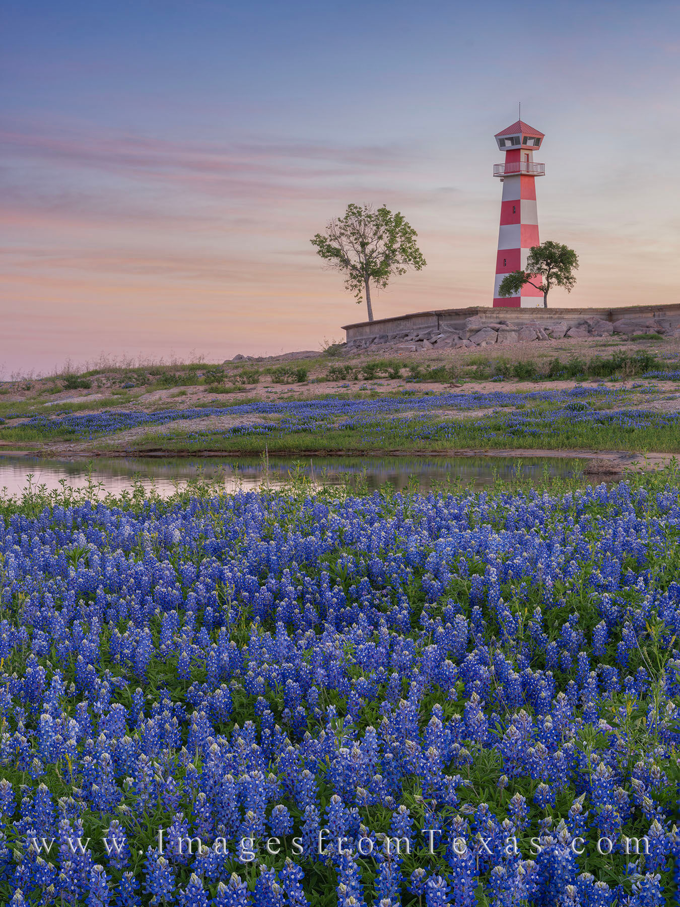 Lake Buchanan Lighthouse 4 The red and white lighthouse of Lake Buchanan climbed into the cool air of an April sunrise while bluebonnets lined the shores...